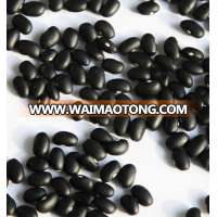 Black Kidney Beans / Black Matpe Beans....