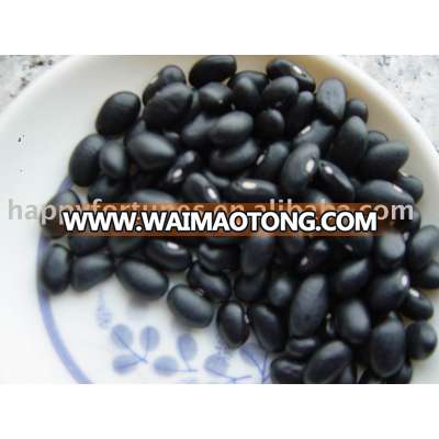 Black Kidney Beans