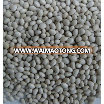 crop 2014 Chinese white pea bean navy beans white kidney beans