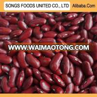 Red Kidney Beans Price