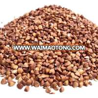 ROASTED BUCKWHEAT FOR SALE