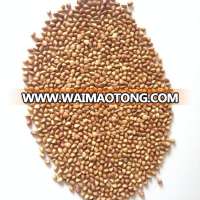 2017crop roasted buckwheat seed