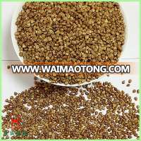 hot sale roasted buckwheat cereal