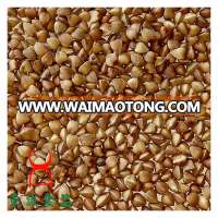 Organic roasted buckwheat cereal wholesale