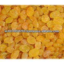 Sultana golden raisins